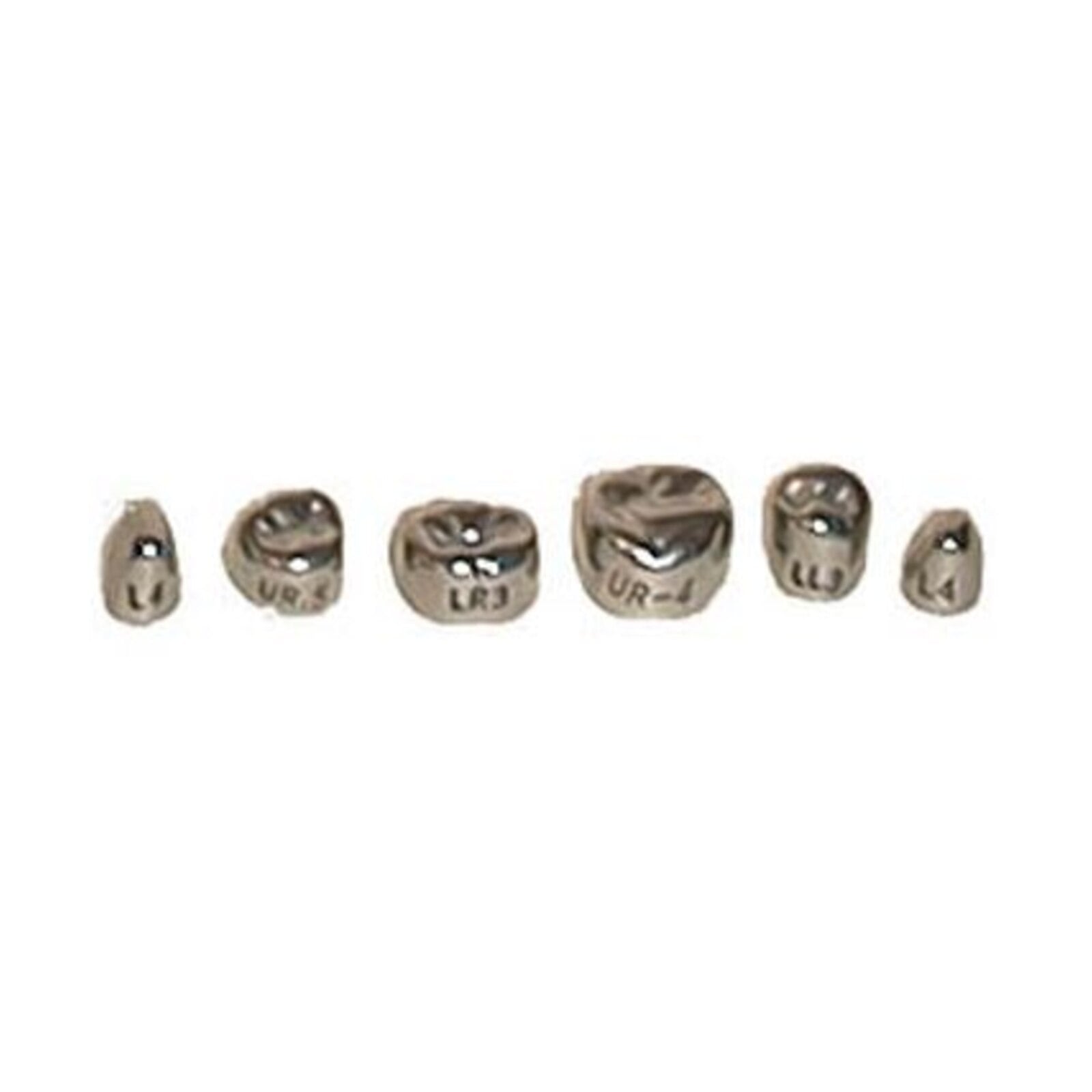 Evolve #7 Stainless Steel Primary Molar Crown, 1st Lower Left, 5/Pk