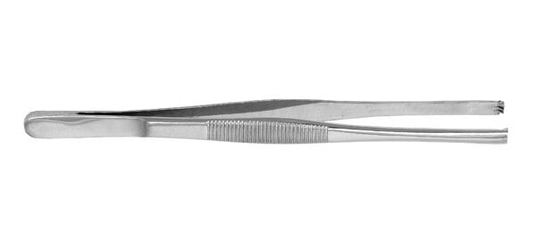 Tissue Forceps, 6 inch, 3x4 Serrated Jaws, Stainless Steel