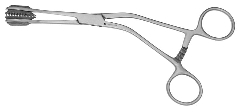 Young Tongue Holding Forcep, 6"