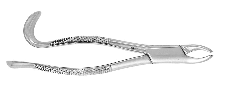 Extracting Forcep #24, Stainless Steel, Curved Design