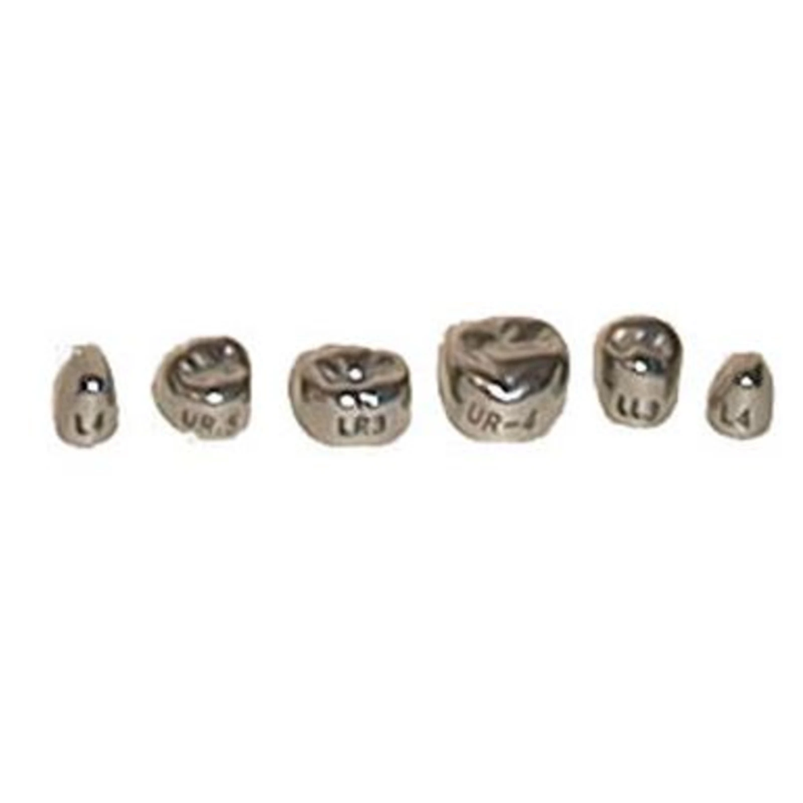 Evolve #4 Stainless Steel Primary Molar Crown, 1st Lower Left, 5/Pk