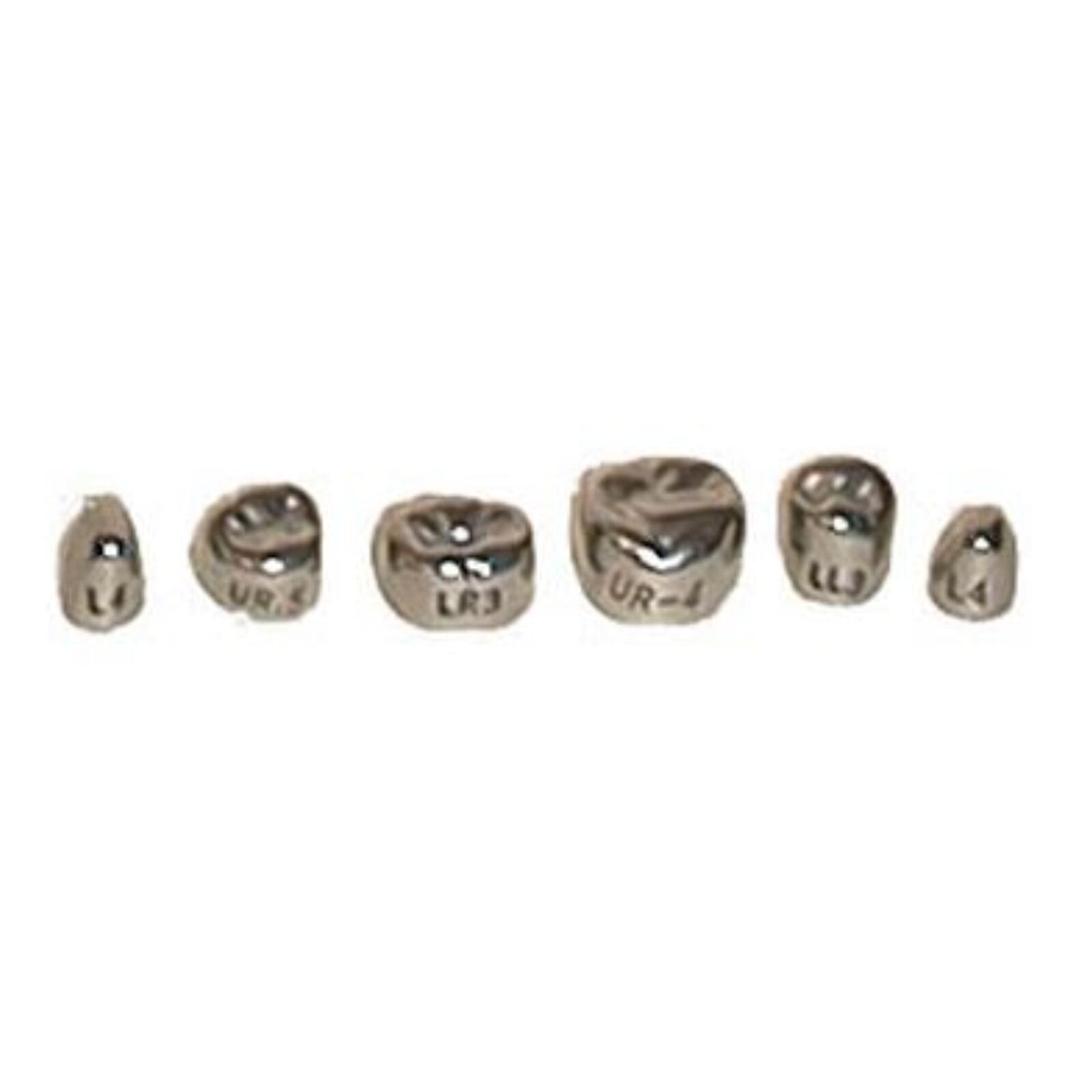Evolve #7 Stainless Steel Primary Molar Crown, 1st Upper Right, 5/Pk