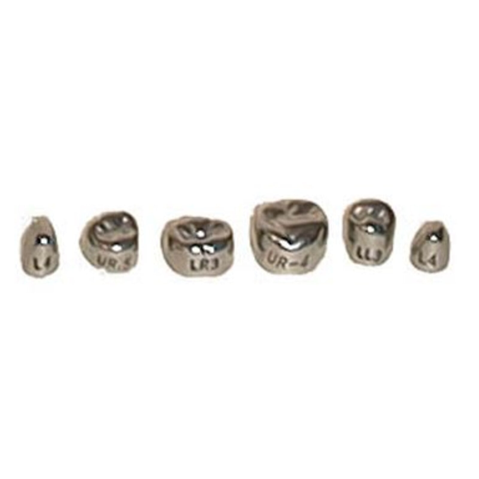 Evolve #6 Stainless Steel Primary Molar Crown, 1st Upper Left, 5/Pk