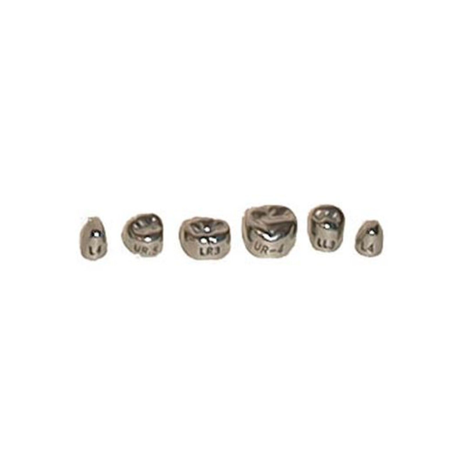Evolve Stainless Steel Primary Molar Crowns, 1st Upper Left (#5), 5/Box