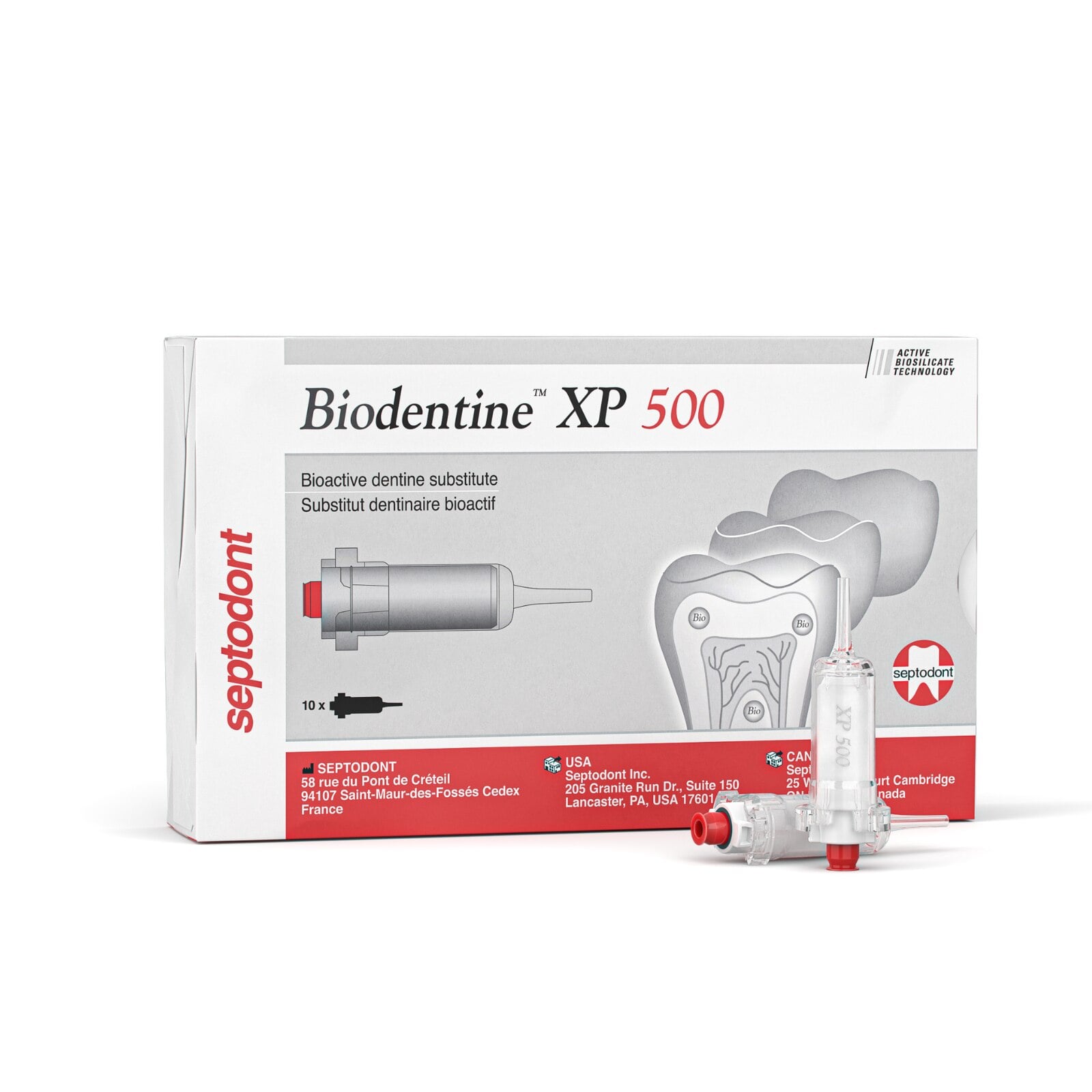 Septodont Biodentine XP 500 Bioactive Dentin Substitute, 10 Cartridges/Pk