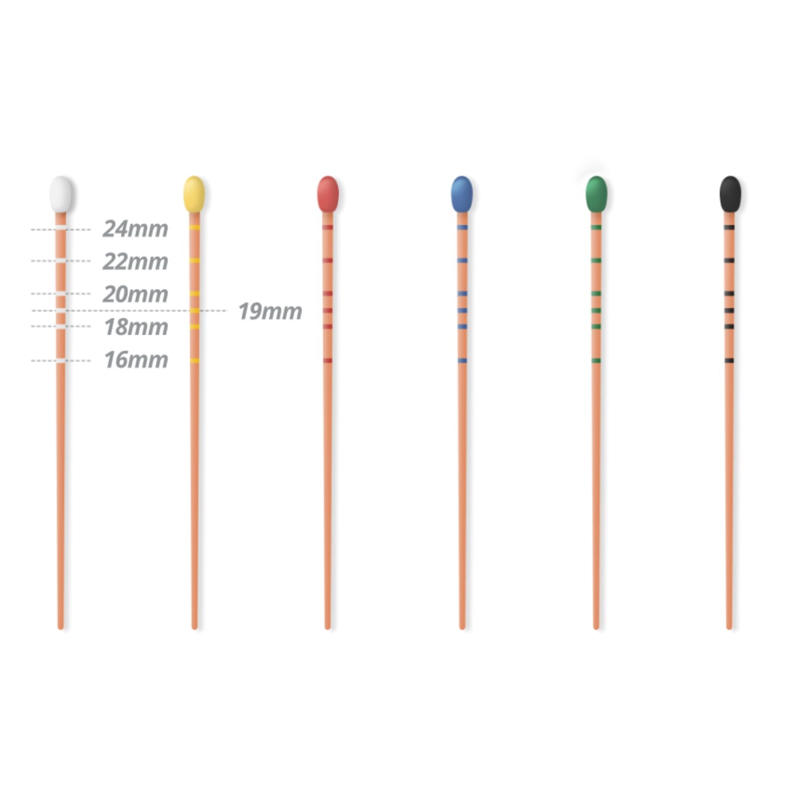 Gutta Percha Points, .06 Taper, Size #55, 60/Pack