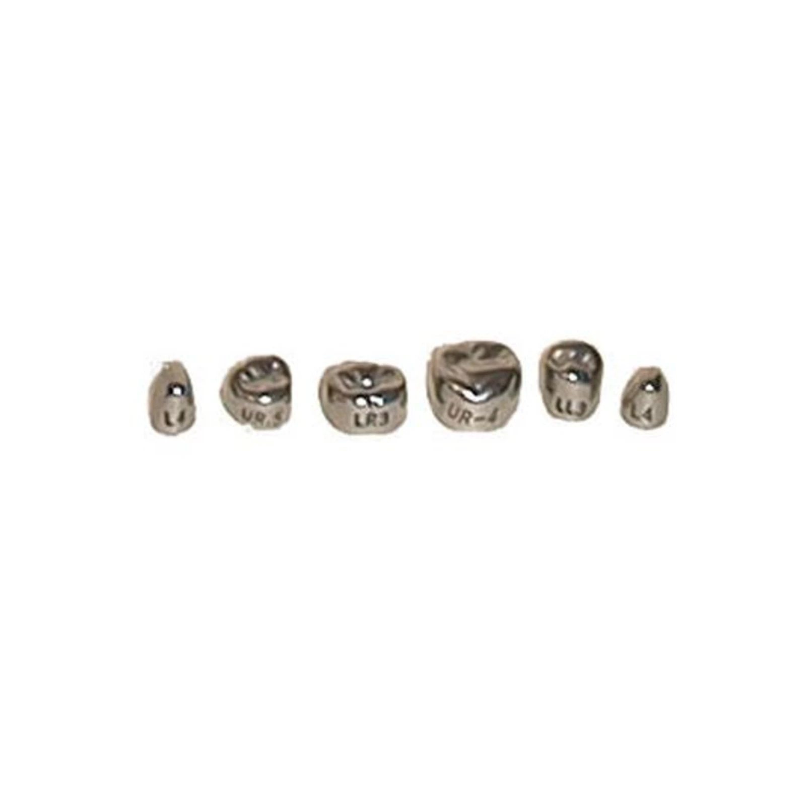 Evolve Stainless Steel Primary Molar Crown, 1st Lower Left (#3), 5/Box