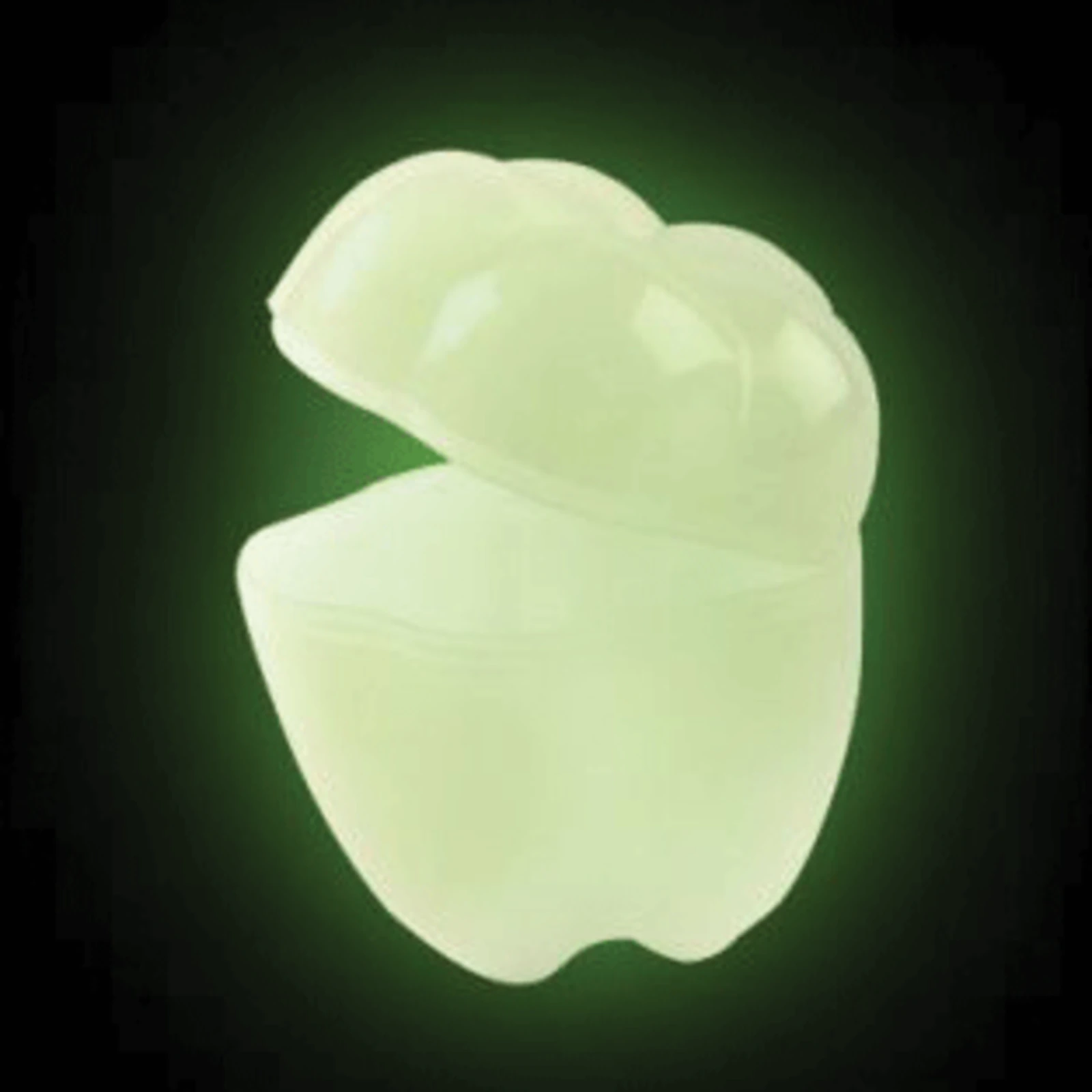 Glow in the Dark Tooth Holder, 12/Pk