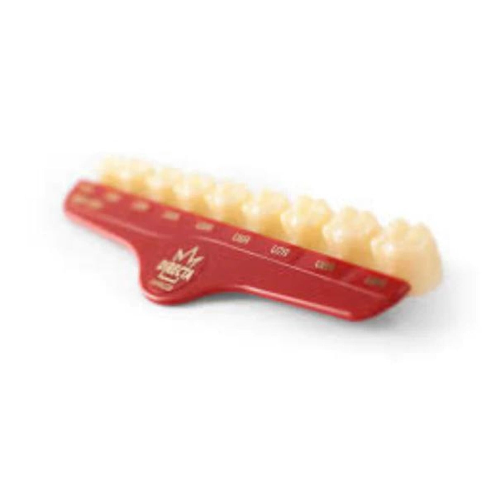 Directa Temporary Polycarbonate Crown, Upper Bicuspid Short, Size #45, Translucent, Refill Pack of 5 (6092-45)