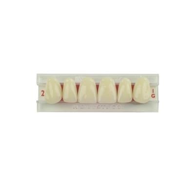 Justi Kind Anterior Lower Card 1x4 Shade 61, 084-21178