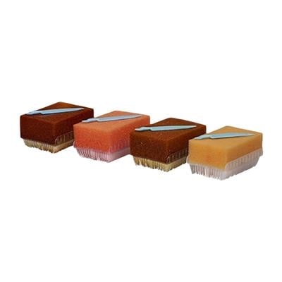 BD E-Z Scrub Surgical Scrub Brush with 3% PCMX, Color Code Blue, 30/Pack, 371163