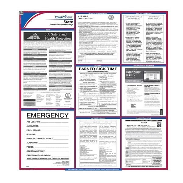 Comply Right State Labor Law Poster, Michigan, English, 27 in x 39 in, 100 Lb Gloss Stock, Each, 01KEZKNNFGJR3ANFWZQ93XR7BT