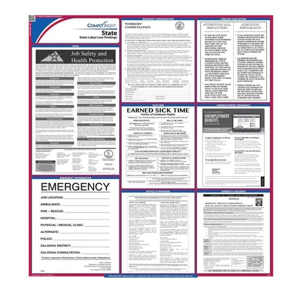 Comply Right State Labor Law Poster Wyoming English 27 in x 39 in 100 Lb Gloss Stock, 01KEZKNSTXT355VGMB9G7D0F87