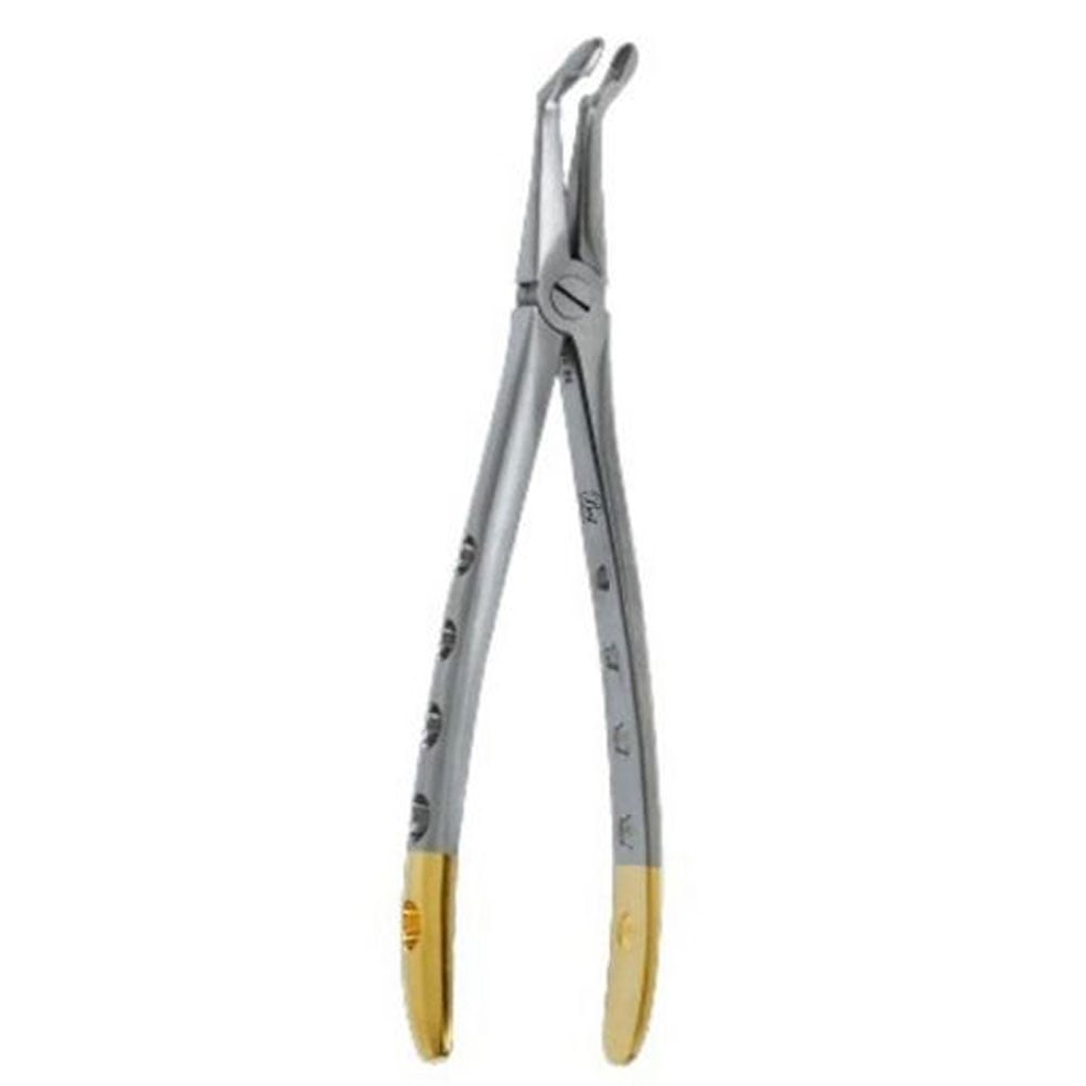 Best #P-5 Stainless Steel Atraumatic Extraction Forceps, Lower Root, 1/Pk