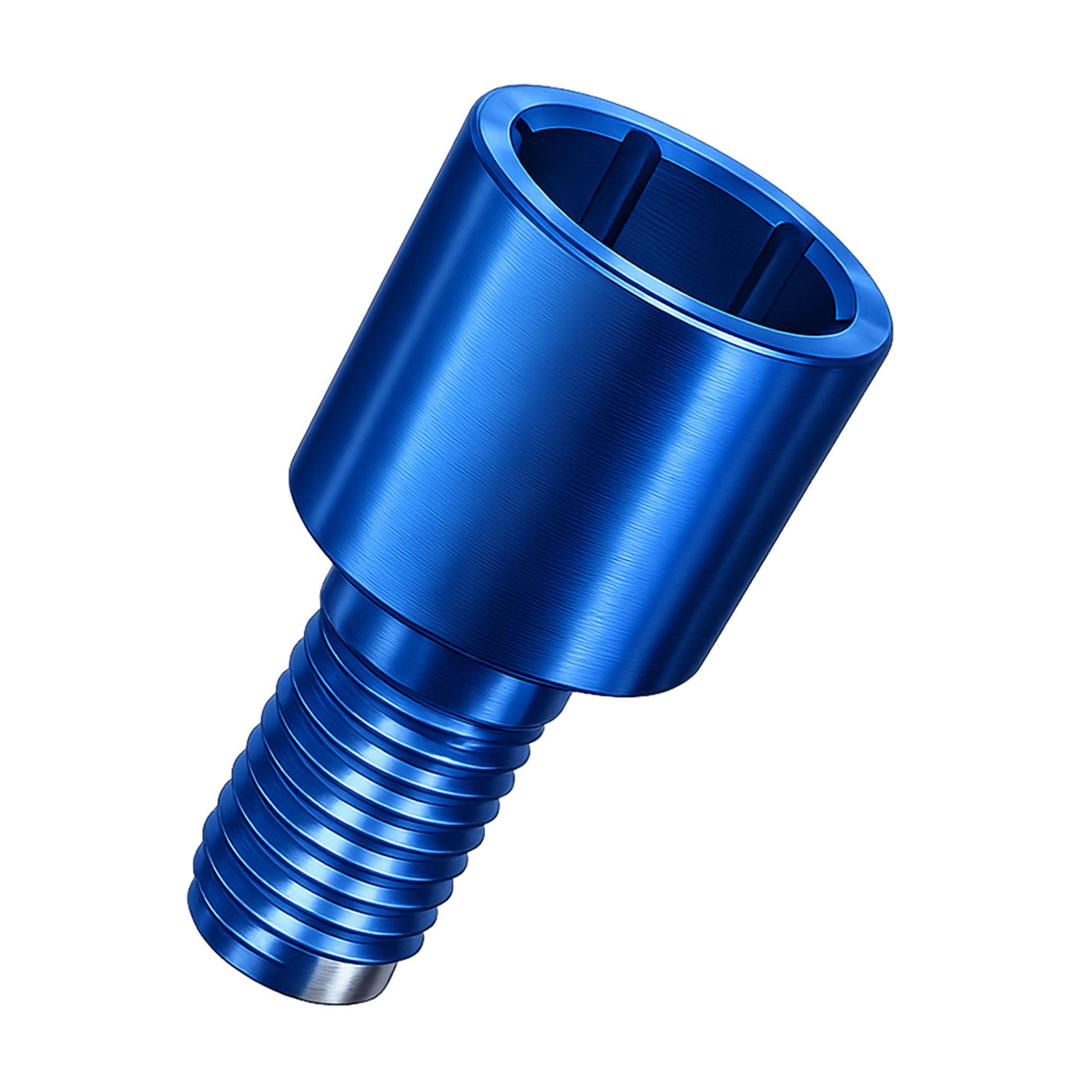 DSI Titanium Fixation Screw for Multi-Unit Abutments, Ø4.8mm x 4.45mm, Torx, 1/Pk
