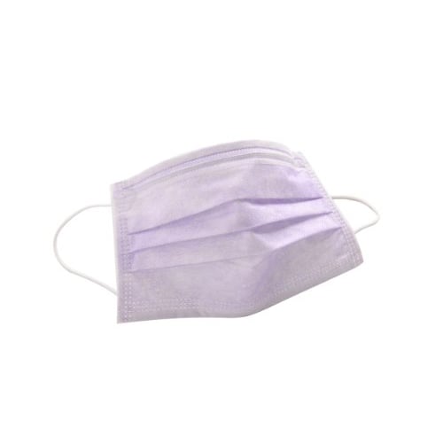 House Brand Ear-loop Face Mask, Pleated, Lavender, 50/Box