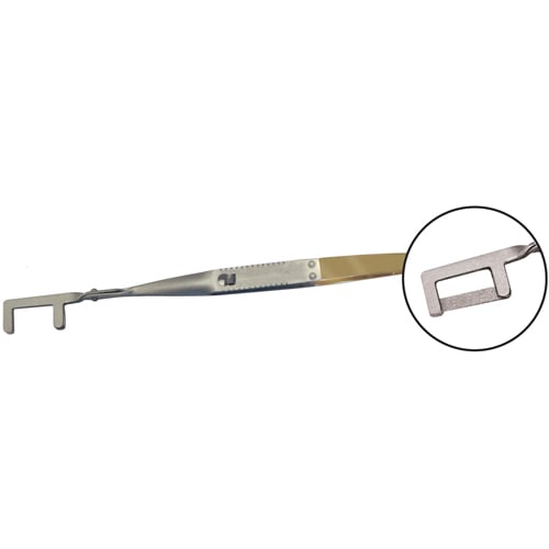 Laschal Straight Polishing Forceps with Thumb Lock, Inline Prongs