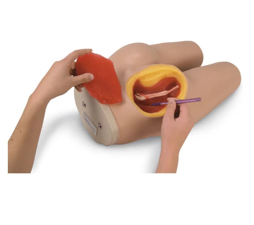 Life/form Intramuscular Injection Simulator with Syringes and Hard Carry Case - Intermuscular Stimulator - Image 1