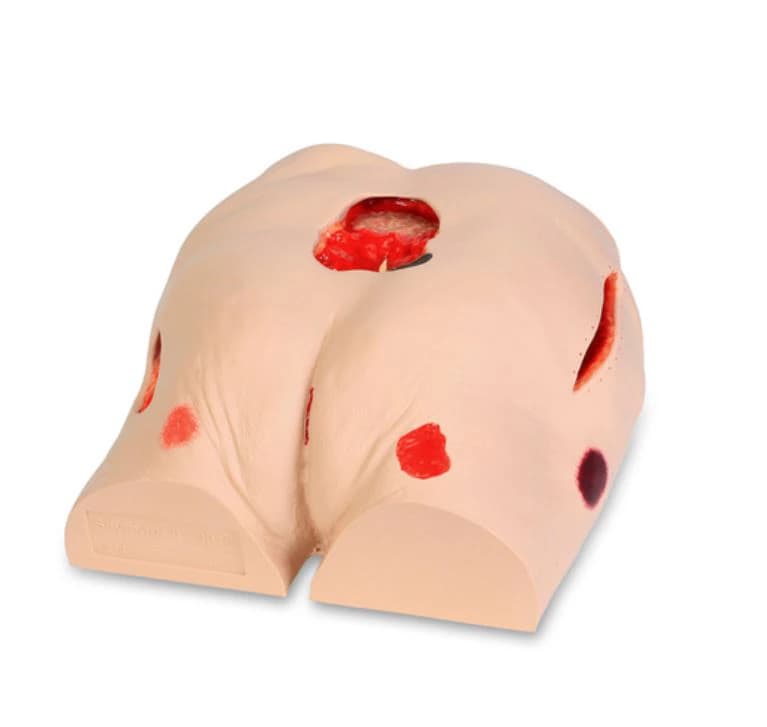 Nasco Healthcare Seymour II Wound Care Anatomical Model, Adult, 12 x 13.5 x 6 inches - Model Wound Care - Image 1
