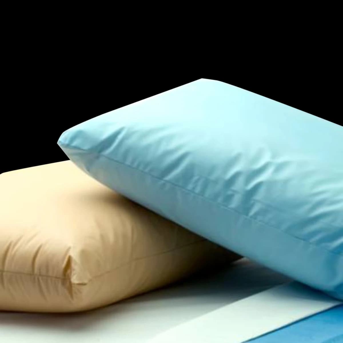 The Pillow Factory CareGuard Plus Pillow, 21x27" - Pillow CareGuard Plus Plstr - Image 1