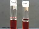 Remel Decarboxylase Broth (Lysine Moeller), 5 mL, 20/Package - Decarboxylase Broth 5mL - Image 1