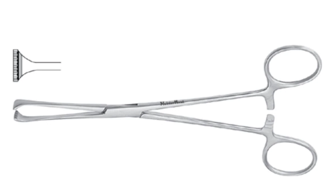 Miltex Meister-Hand Allis Tissue Forceps, 6-1/2", Stainless Steel, Each - Allis-Adair Fcps 9 x 10 - Image 1