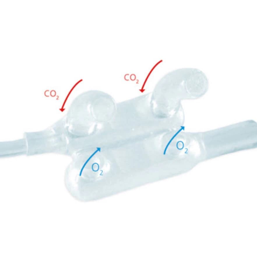 Flexicare Dual CO2/O2 Nasal Cannula, Pediatric, Clear, 7 ft Tubing, Female Luer, Hydrophobic Disc Filter, Universal Connector, 25/Box - Cannula Nasal Pediatric - Image 1