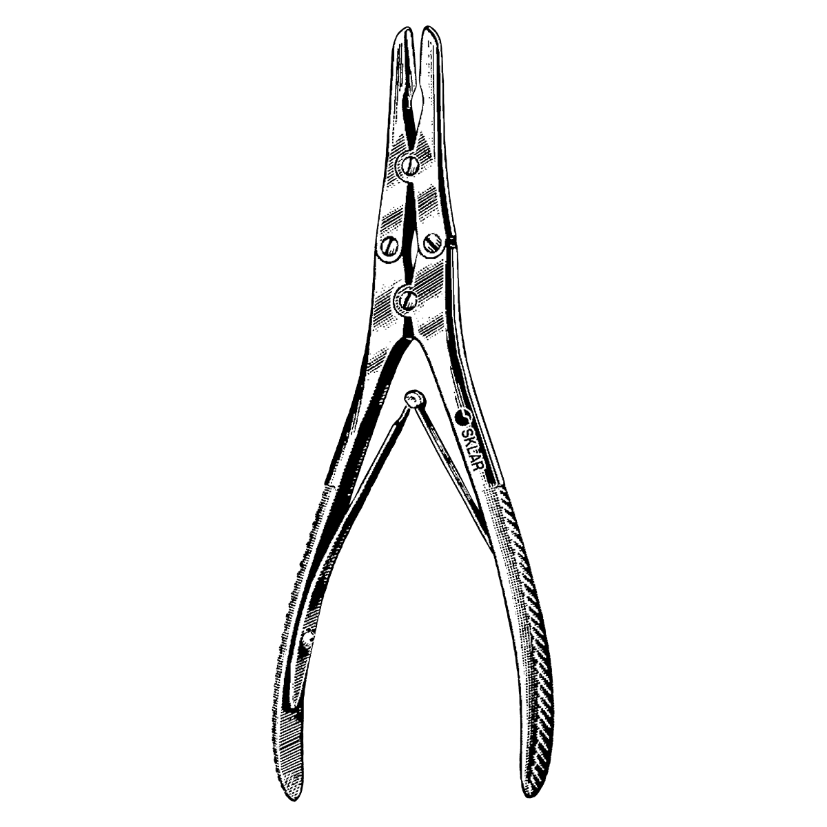 Sklar Instruments Ruskin Rongeur, Curved, Stainless Steel - Rongeur Ruskin Curved SS - Image 1