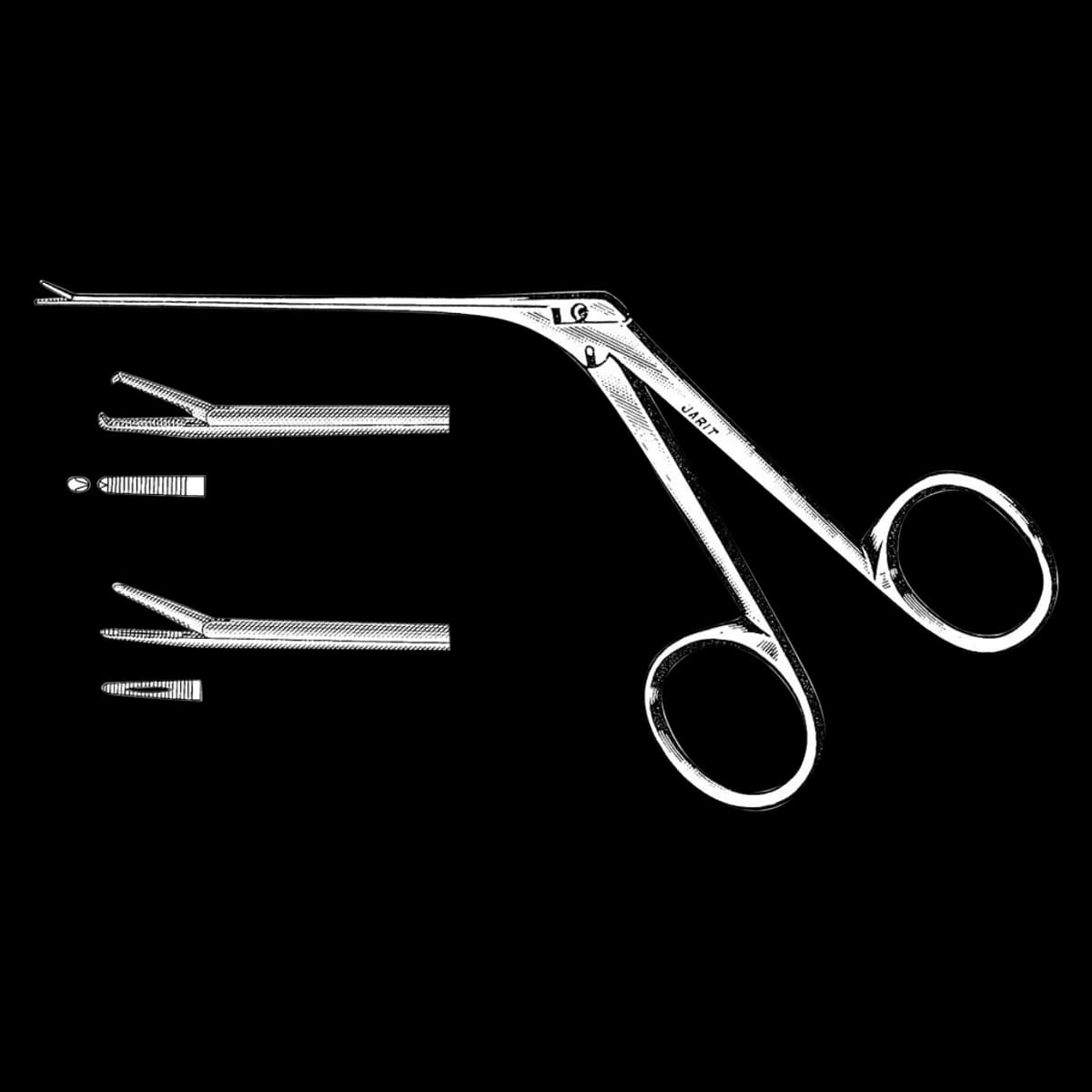 Jarit Hartman Alligator Forceps, 5.5" (5-1/2"), Stainless Steel, Each - Forceps Alligator Ear 5-1/2" - Image 1