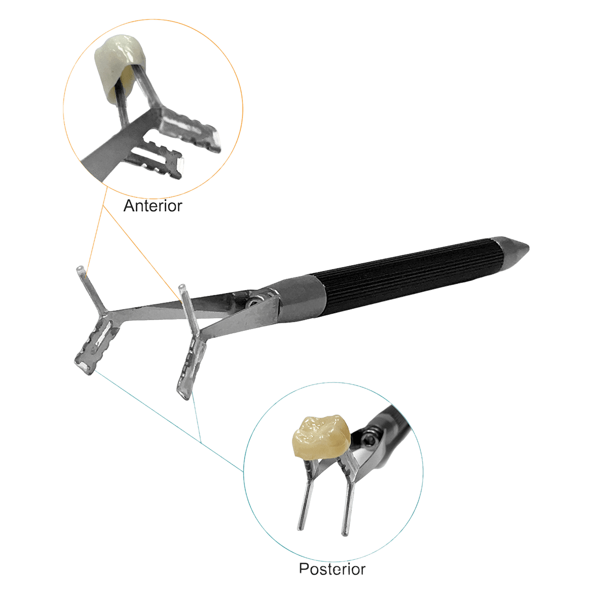 BesQual Zir-Holder Two-in-One Crown Holder, Anterior & Posterior, 1/Pk - BesQual Zir-Holder Two-in-one Crown Holder, Anterior & Posterior, 1/Pk - Image 1