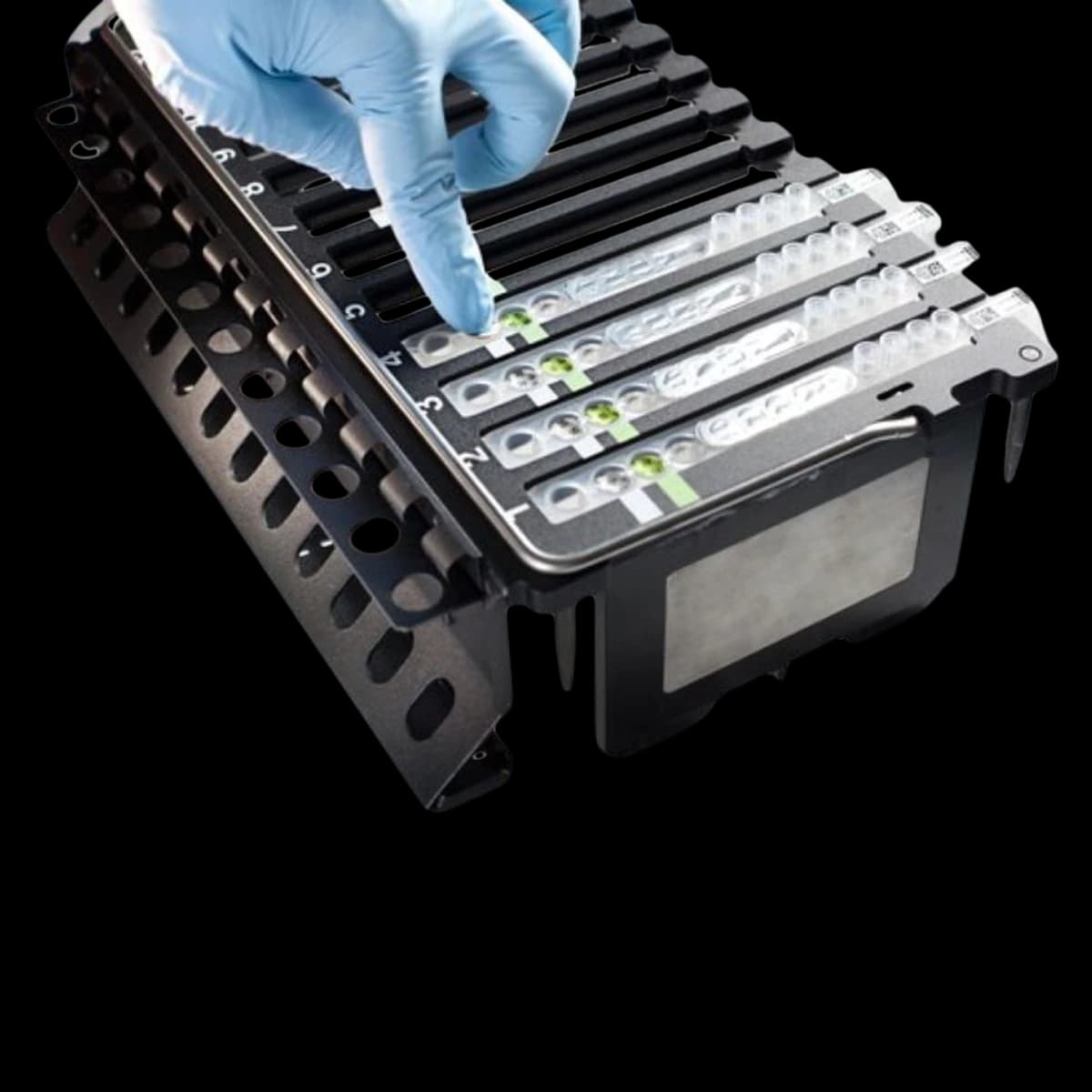 BD MAX Enteric Parasite Panel Assay Kit, 1/Kt - BD MAX Enteric Parasite Panel - Image 1