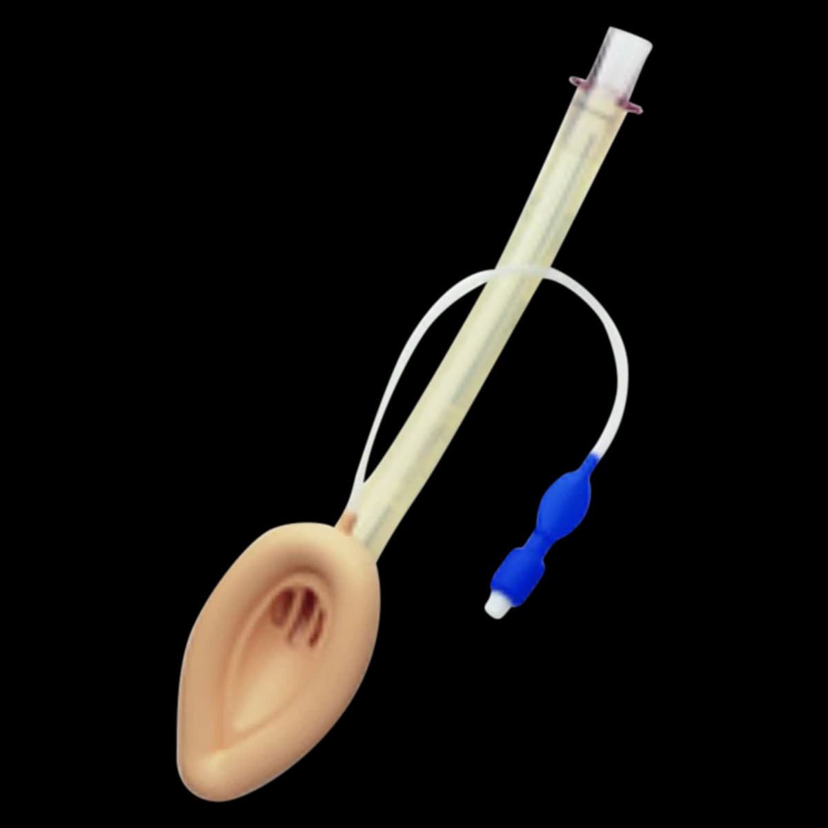 LMA Classic Reusable Airway Mask, Size 5, Adult 70-100 kg, Each - Airway LMA Classic Reusable - Image 1