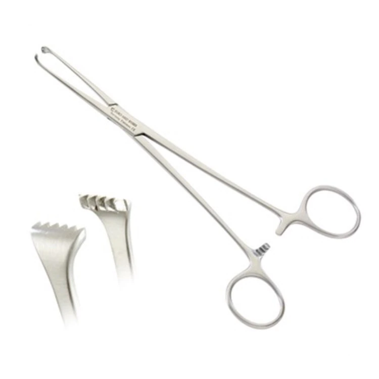 Euro-Med Allis Tissue Forceps, 10", 5x6 Teeth, Stainless Steel, Non-Sterile, Each - Forcep Allis Tissue 5x6 Teeth - Image 1