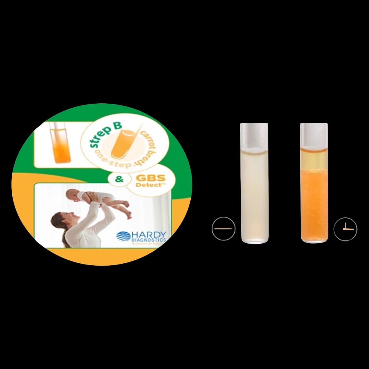 Hardy Diagnostics Strep B Carrot Broth One-Step, 4 mL, 12x80mm Tubes, 100/Box - Carrot Brth StrpB 1Step 4ml Tb - Image 1