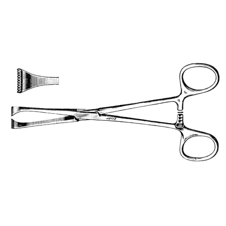 Jarit Allis-Adair Tissue Forceps, Straight, 6-3/8" (16 cm), Stainless Steel - Forcep Tissue AllisAdair 6-3/8 - Image 1