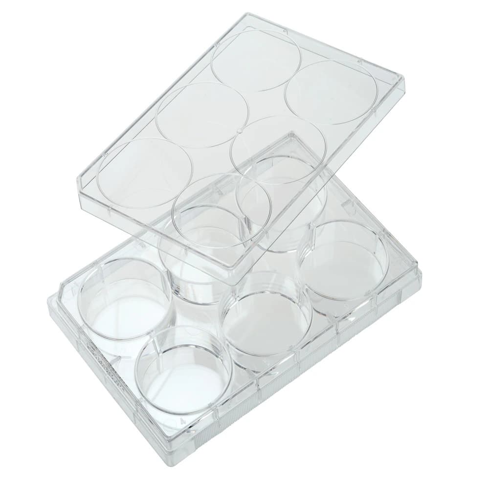Celltreat 6-Well Tissue Culture Plate, Polystyrene, Clear, with Lid, Sterile, Individually Wrapped, 50/Case - Plate Tissue Culture w/ Lid - Image 1