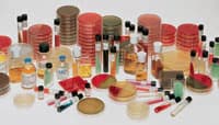 BBL Hektoen Enteric Agar Plates, Prepared Media, 100/Box - Hektoen Enteric Agar Plates - Image 1