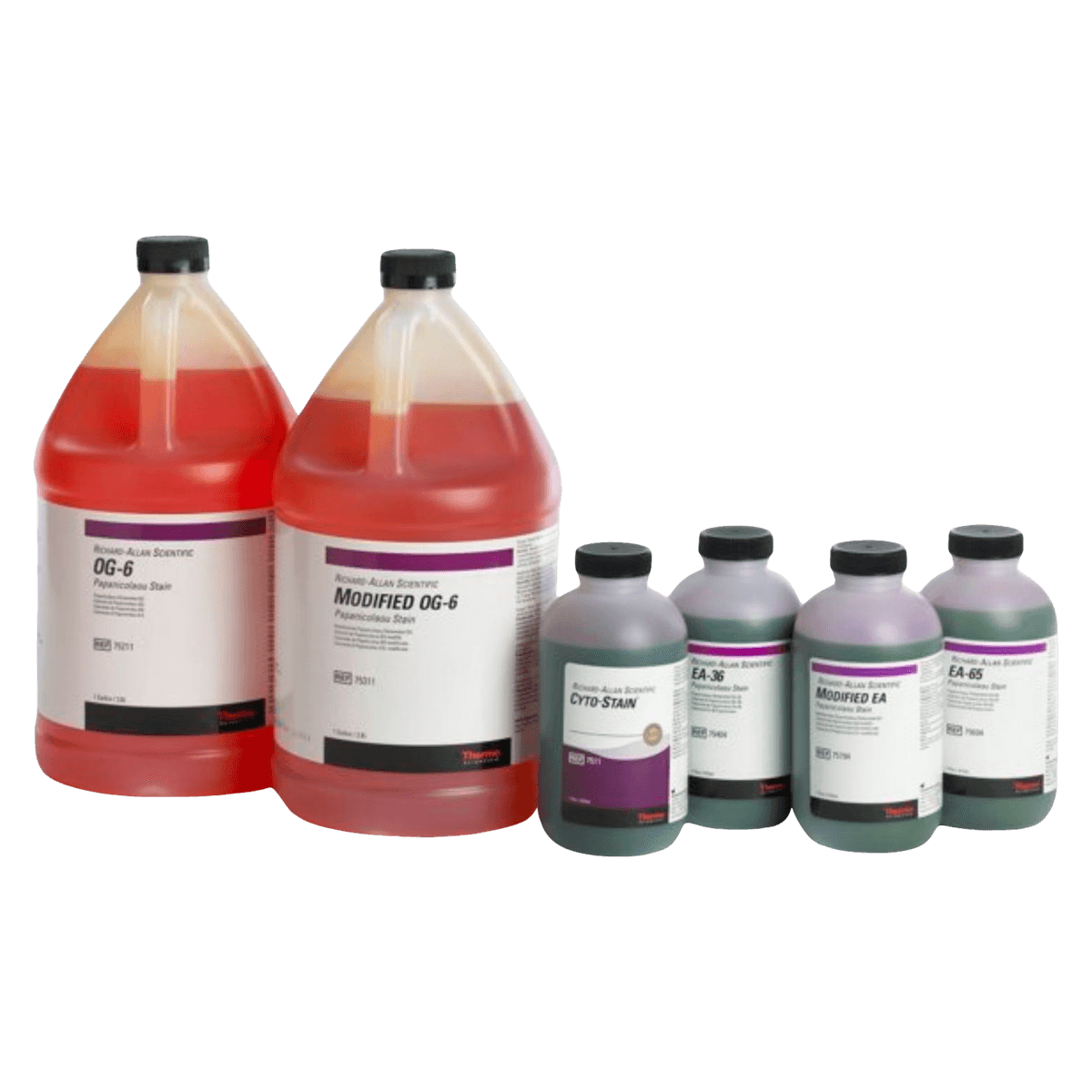 Richard-Allan Scientific Papanicolaou Stain EA-65, 1 Gallon - Papanicolaou Stain EA-65 - Image 1