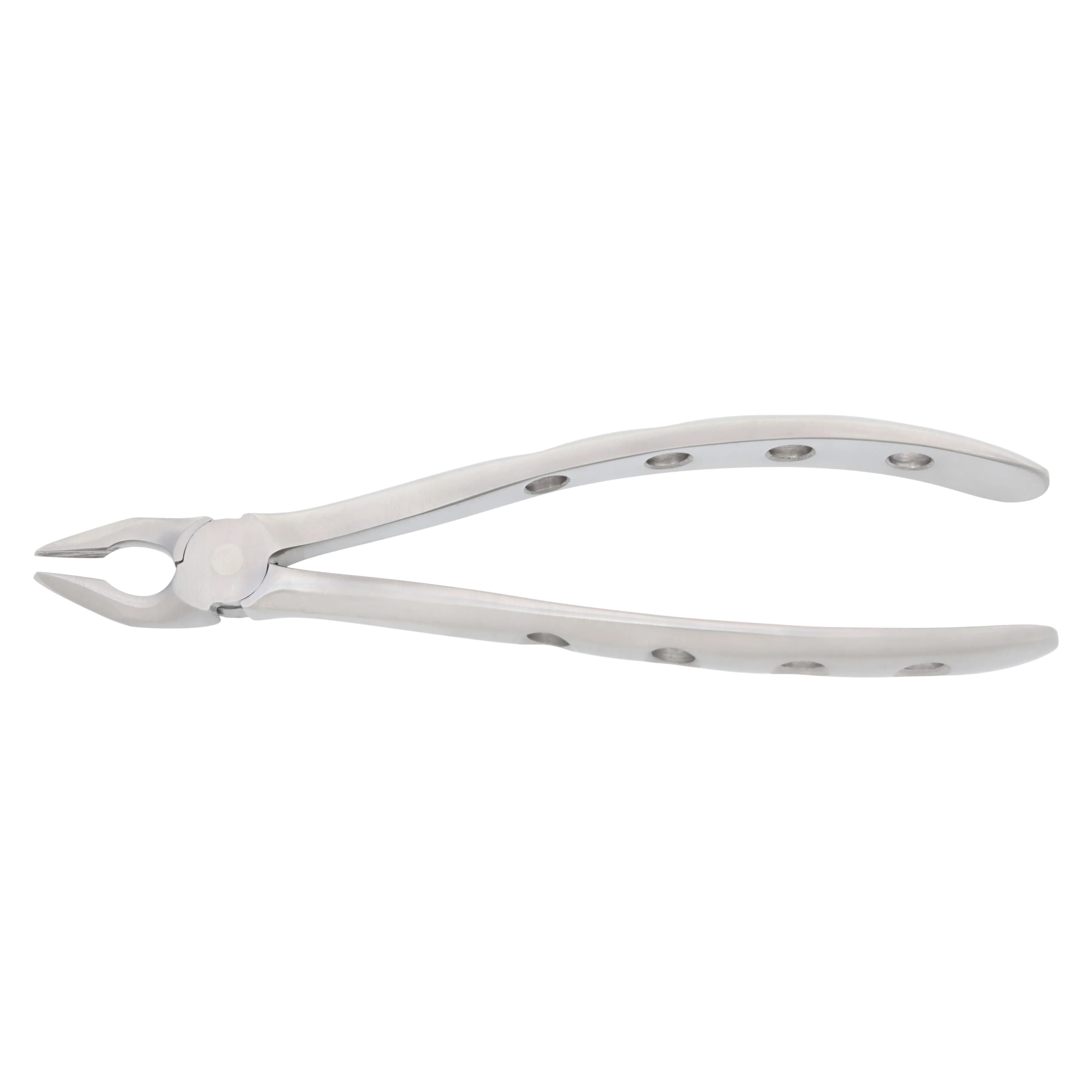 Nordent Extracting Forceps 150 Upper Universal, Atraumatic, Adult, Serrated, Non-Locking, Stainless Steel - Extr Forcep Upper Universal - Image 1