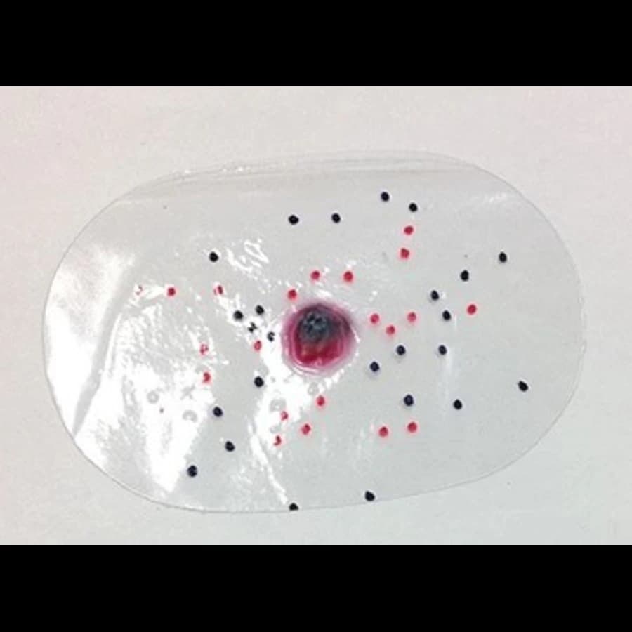 Nasco Healthcare Intermediate Range Round Wound Bandage - Intermediate Range Round Banda - Image 1