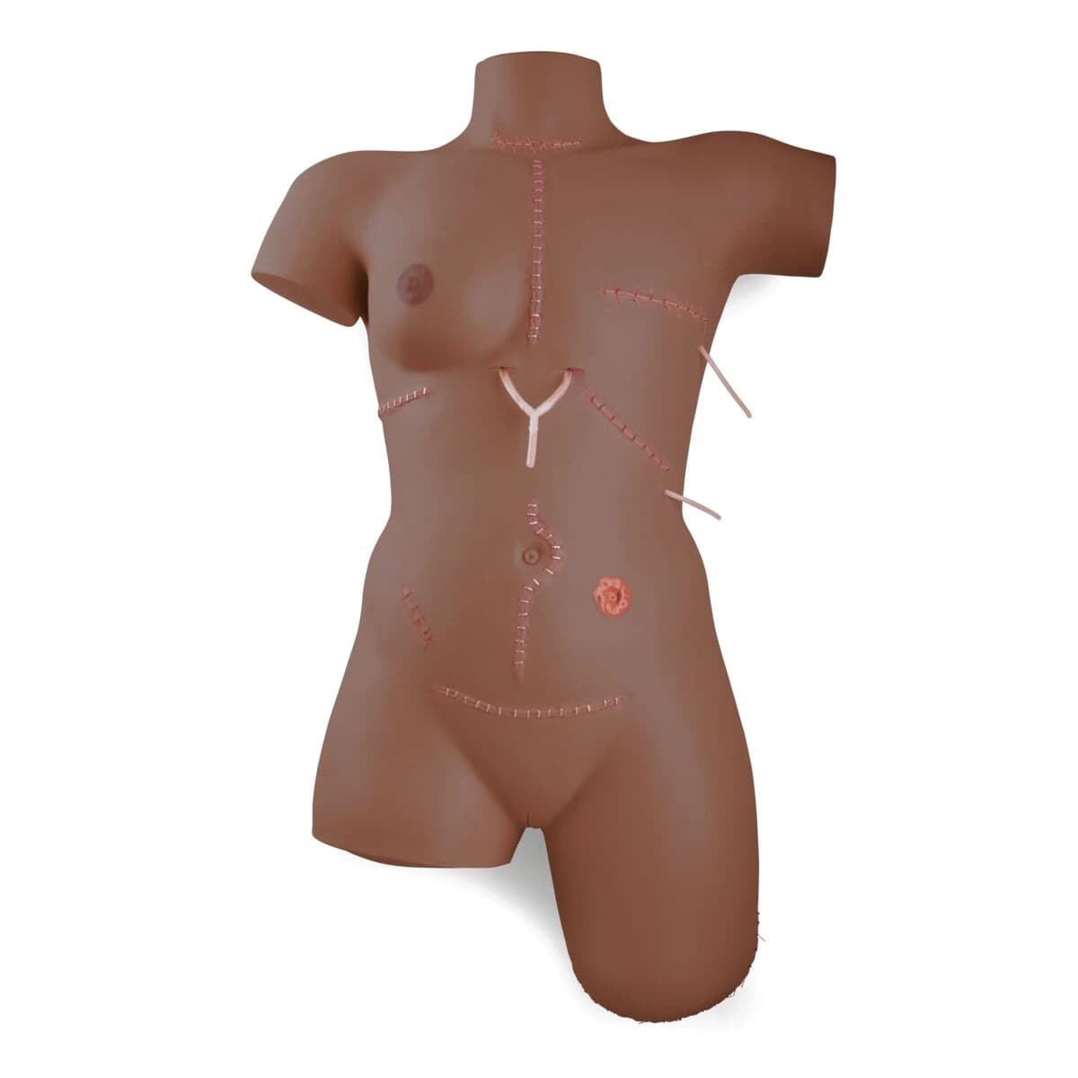 Wound Bandage Trainer, Dark Skin, 9.1x18.1x30.3", With Carry Bag, American 3B Scientific - Wound Bandage Trainer Dk Skin - Image 1