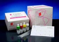 Stanbio RPR Rapid Plasma Reagin Test Kit, Moderately Complex, 100 Tests - Stanbio RPR - Image 1