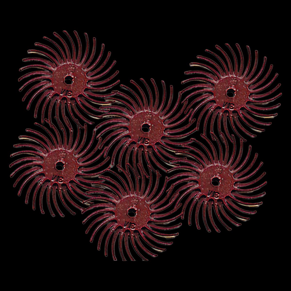 Scotch-Brite Radial Bristle Disc, 220 Grit, 6/Package - ScotchBrite Radial Bristl Disc - Image 1