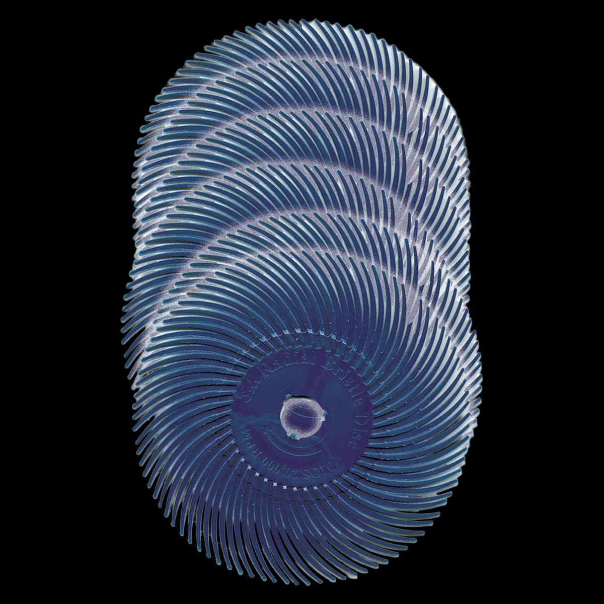 Scotch-Brite Radial Bristle Disc, 400 Grit, 6/Package - ScotchBrite Radial Bristl Disc - Image 1