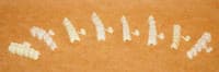 DirectCrown Posterior Bridge Refill, Lower Right, Small, Opaque, 3 Shells/Pack - DirectCrown Bridge Posterior Bridge Refill - 3 Shells/Pack: Lower Small - Image 1