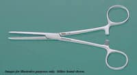 Rochester-Pean Hemostat Forceps, 10-1/4" Straight, Each - Hemostat Rochester Pean - Image 1