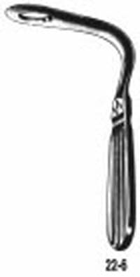 Bogworth Tongue Depressor, Each - Bogworth Tongue Depressor - Image 1