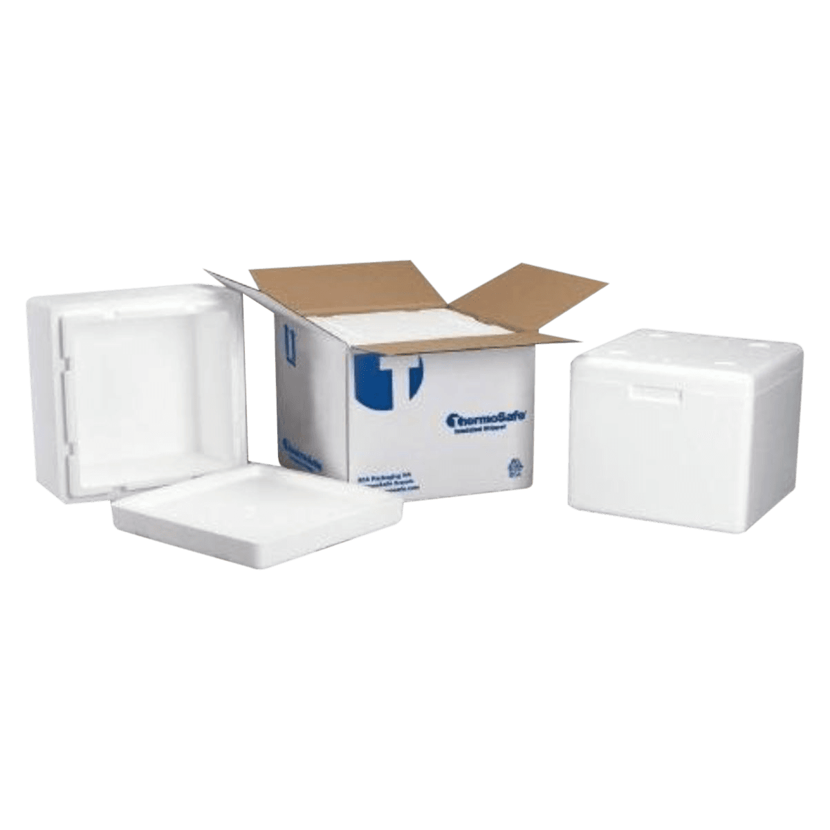 Sonoco Insulated Shipper Multipurpose Bio-mailer Foam Unit Only, 8x5-7/8x8-7/8", 8/Case - Bio-mailer Foam Unit Only - Image 1