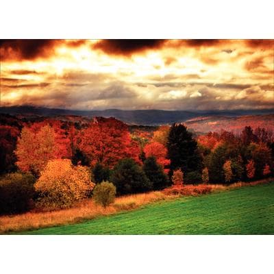 Fall 4-Up Laser Postcards, Autumn Vista, 5-1/2" W x 4-1/4" H, 100/Pkg - Fall 4-Up Laser Postcards, 100/Pkg - Autumn Vista, 5-1/2" W x 4-1/4" H - Image 1