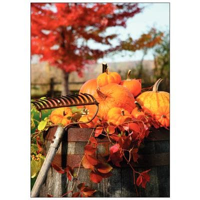Fall 4-Up Laser Postcards, Pumpkin Pile, 4-1/4" W x 5-1/2" H, 100/Pkg - Fall 4-Up Laser Postcards, 100/Pkg - Pumpkin Pile, 4-1/4" W x 5-1/2" H - Image 1